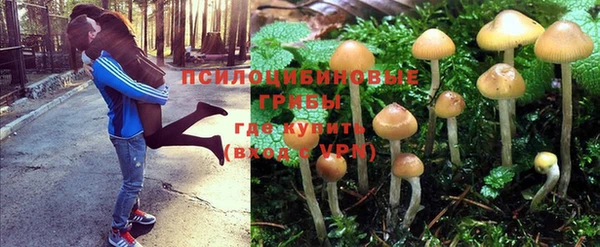 гидра Осинники