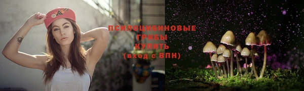 гидра Осинники