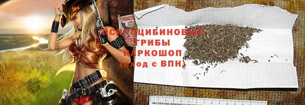 гидра Осинники