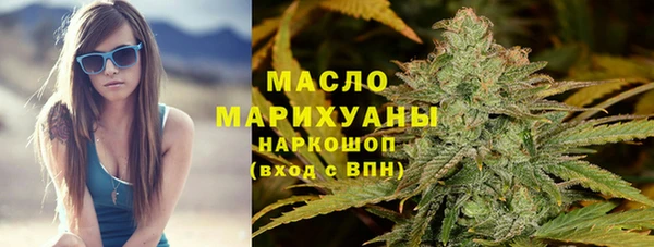 гидра Осинники