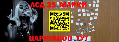 гидра Гатчина