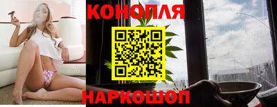 гидра Гатчина