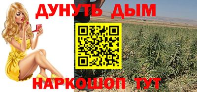 гидра Гатчина