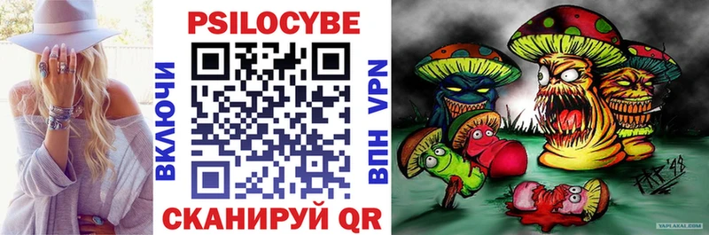 Псилоцибиновые грибы Psilocybe  darknet какой сайт  Качканар  даркнет сайт 