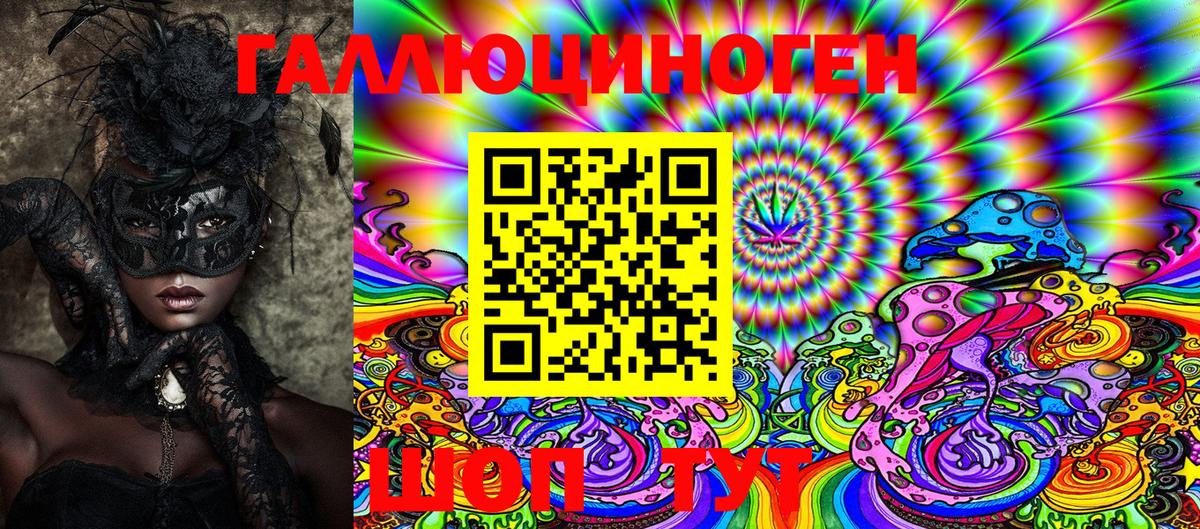Галлюциногенные грибы Psilocybe Качканар