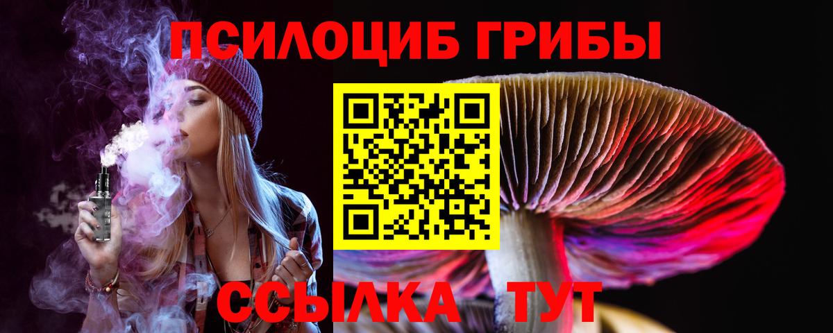 Галлюциногенные грибы мицелий  Вход с VPN  Качканар 